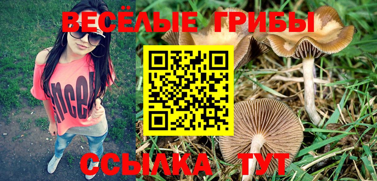 Галлюциногенные грибы GOLDEN TEACHER  Вход с VPN  Домодедово  Галлюциногенные грибы GOLDEN TEACHER 