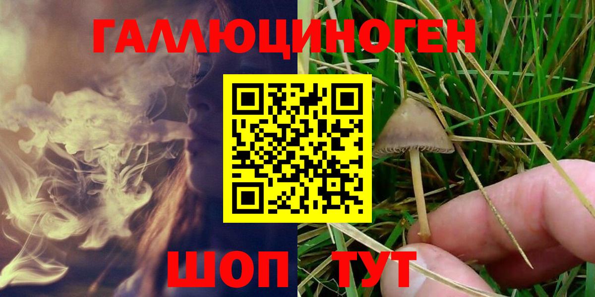 Псилоцибиновые грибы Magic Shrooms Домодедово